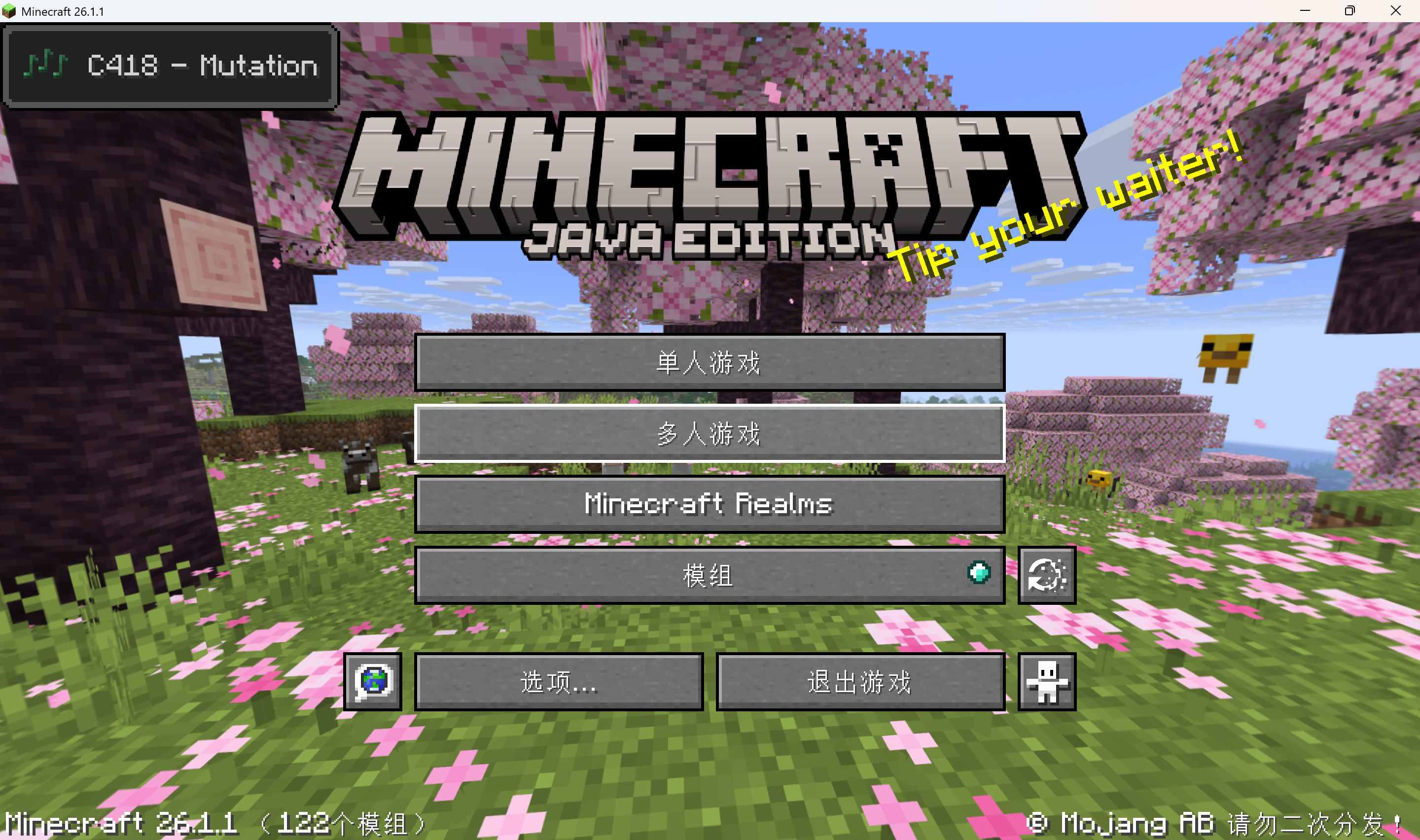 1. 打开 Minecraft