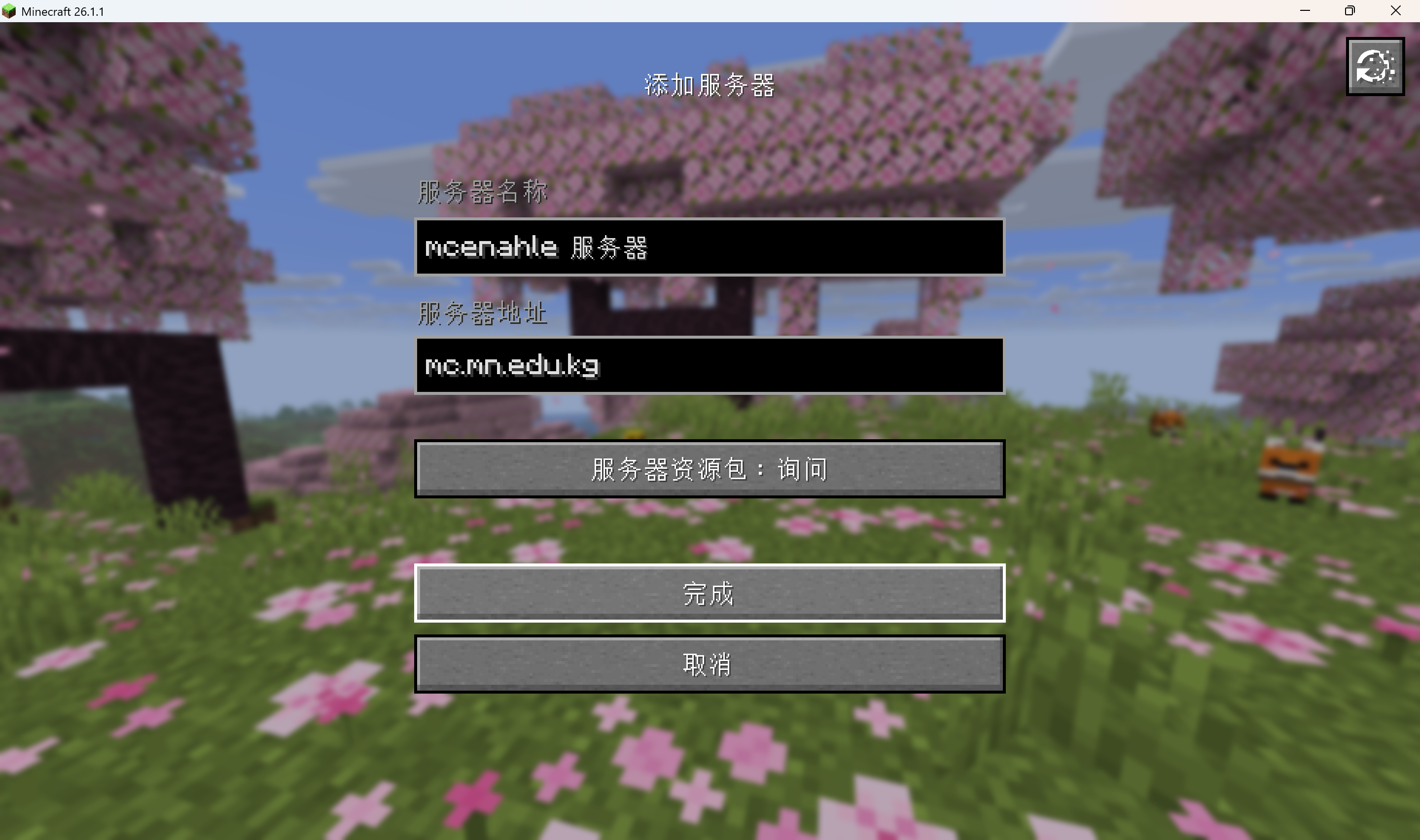 3. 输入地址